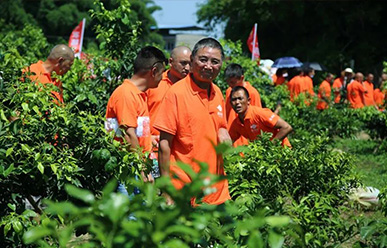 震驚：50元買一只紅蜘蛛？!——這一次，果農(nóng)們有話要說(shuō)