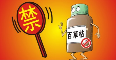 百草枯將被禁用?。繙缟猿輨┦袌鲞M(jìn)入洗牌期，誰能搶占先機(jī)？                   來源于  農(nóng)資與市場  王奕
