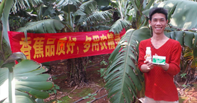 差距這么大， 是真的嗎？ 銀農(nóng)故事匯—香蕉篇